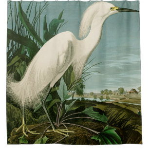 Audubon Schneereiher Weißer Reiher Vogel Vogelbeob Duschvorhang