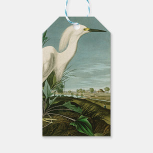 Audubon Schneereiher Weißer Reiher Vogel Vogelbeob Geschenkanhänger
