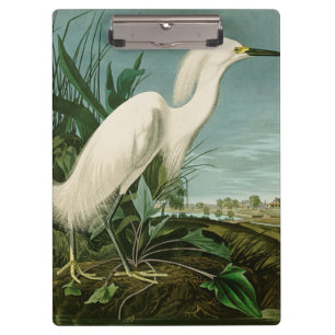 Audubon Schneereiher Weißer Reiher Vogel Vogelbeob Klemmbrett