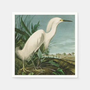 Audubon Schneereiher Weißer Silberreiher Vogel Vog Serviette