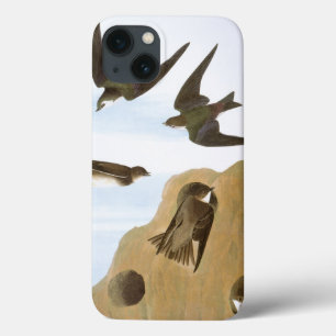 Audubon: Schwalben Case-Mate iPhone Hülle