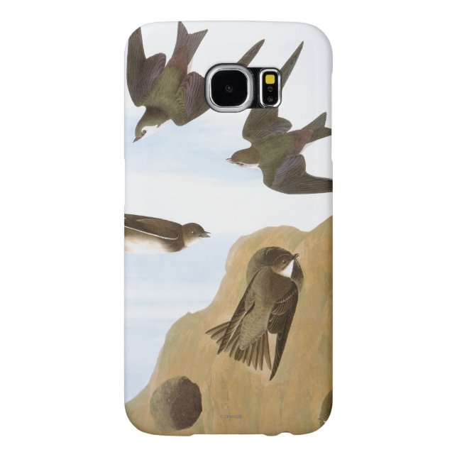 Audubon: Schwalben Case-Mate Samsung Galaxy Hülle (Rückseite)