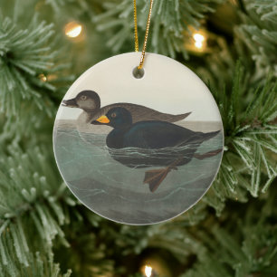 Audubon Schwarze Trauerente Druck: Vintage Küstene Keramik Ornament
