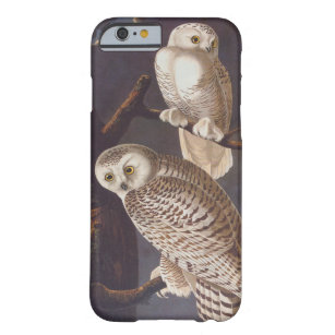 Audubon Snowy Eulen-Paare auf einer bewölkten Barely There iPhone 6 Hülle