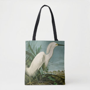 Audubon Snowy Heron White Egret Bird Vogelbeobacht