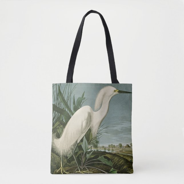 Audubon Snowy Heron White Egret Bird Vogelbeobacht (Vorderseite)