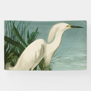 Audubon Snowy Heron White Egret Bird Vogelbeobacht Banner