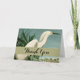 Audubon Snowy Heron White Egret Bird Vogelbeobacht Dankeskarte