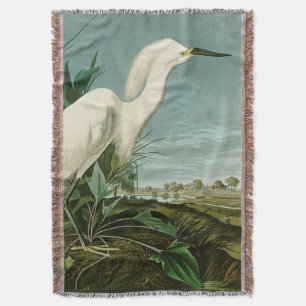 Audubon Snowy Heron White Egret Bird Vogelbeobacht Decke