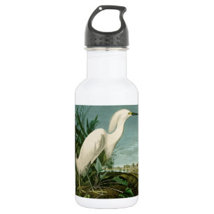 Audubon Snowy Heron White Egret Bird Vogelbeobacht Edelstahlflasche