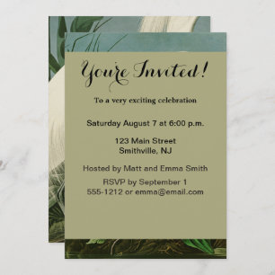 Audubon Snowy Heron White Egret Bird Vogelbeobacht Einladung