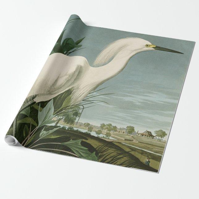 Audubon Snowy Heron White Egret Bird Vogelbeobacht Geschenkpapier (Ungerollt)