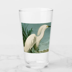 Audubon Snowy Heron White Egret Bird Vogelbeobacht Glas