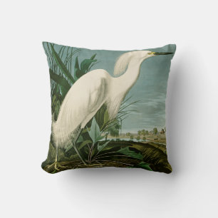 Audubon Snowy Heron White Egret Bird Vogelbeobacht Kissen