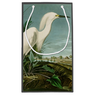 Audubon Snowy Heron White Egret Bird Vogelbeobacht Kleine Geschenktüte