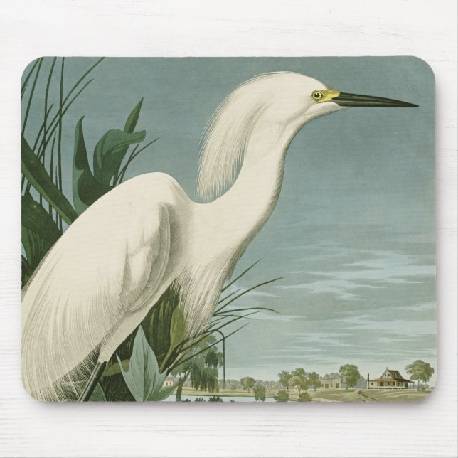 Audubon Snowy Heron White Egret Bird Vogelbeobacht Mousepad (Vorne)