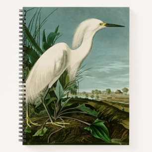 Audubon Snowy Heron White Egret Bird Vogelbeobacht Notizbuch