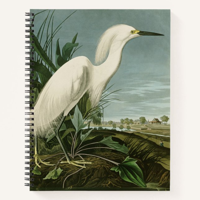 Audubon Snowy Heron White Egret Bird Vogelbeobacht Notizbuch (Vorderseite)