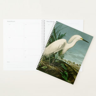 Audubon Snowy Heron White Egret Bird Vogelbeobacht Planer