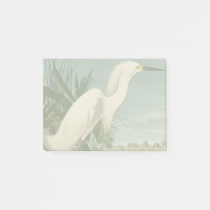 Audubon Snowy Heron White Egret Bird Vogelbeobacht Post-it Klebezettel
