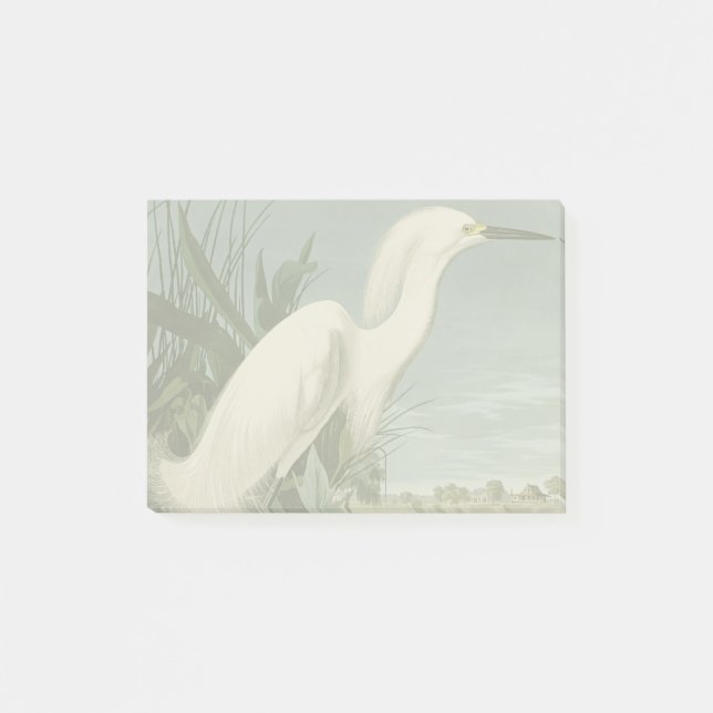 Audubon Snowy Heron White Egret Bird Vogelbeobacht Post-it Klebezettel (Vorderseite)