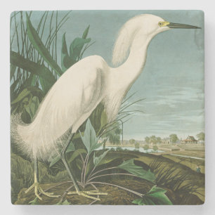 Audubon Snowy Heron White Egret Bird Vogelbeobacht Steinuntersetzer