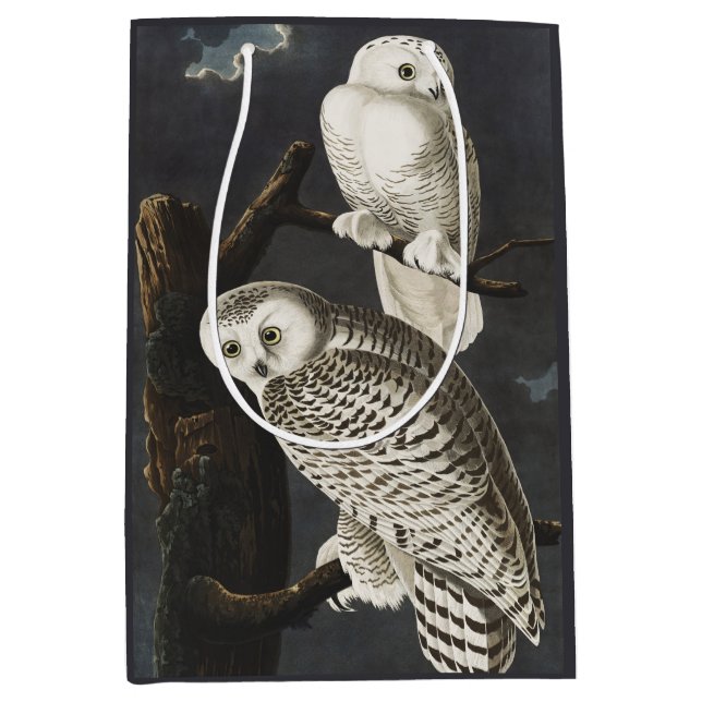 Audubon Snowy Owl Bird Artwork Mittlere Geschenktüte (Vorderseite)