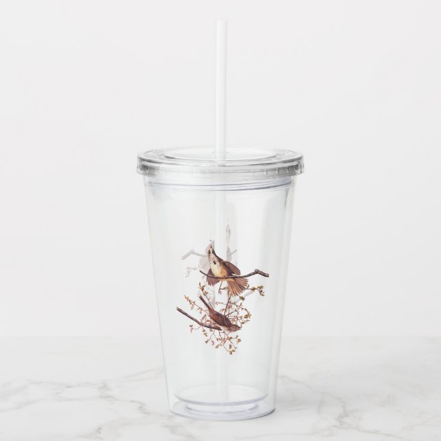 Audubon Song Sparrow mit Tiny Spider Acryltrinkbecher (Vorderseite)