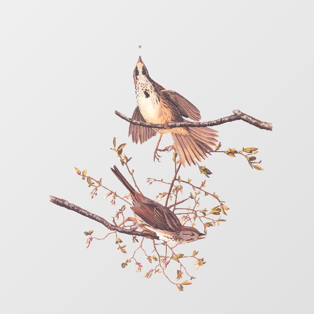 Audubon Song Sparrow mit Tiny Spider Fensteraufkleber (Blatt)