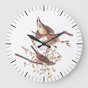 Audubon Song Sparrow mit Tiny Spider Große Wanduhr
