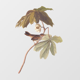 Audubon Swamp Sparrow Bird on Wild Mandrake Fensteraufkleber