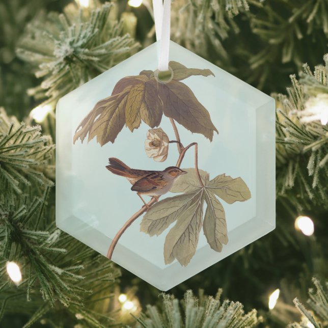 Audubon Swamp Sparrow Bird on Wild Mandrake Ornament Aus Glas (Insitu)