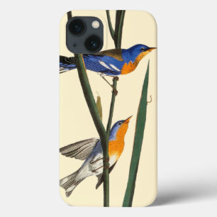 Audubon: Trällerer Case-Mate iPhone Hülle