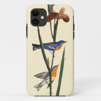 Audubon: Trällerer