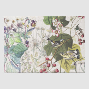 Audubon Trällerer-Vogel-Wildblumen-Seidenpapier Seidenpapier