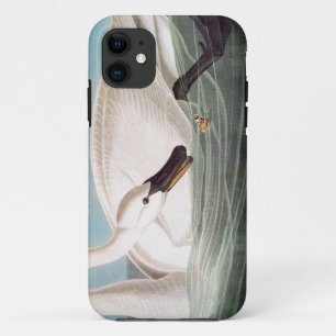 Audubon: Trompeters-Schwan Case-Mate iPhone Hülle