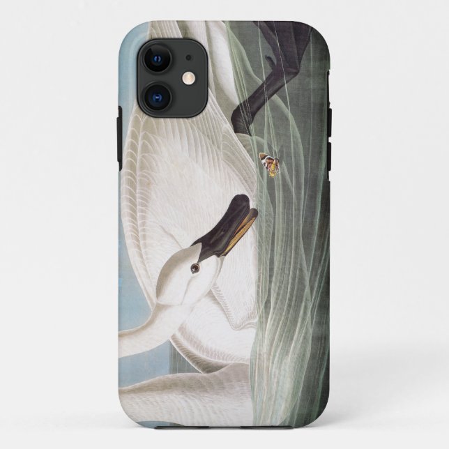 Audubon: Trompeters-Schwan Case-Mate iPhone Hülle (Rückseite)