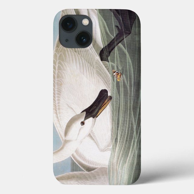 Audubon: Trumpeter Swan Case-Mate iPhone Hülle (Rückseite)