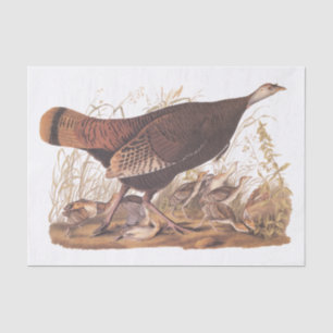 Audubon Turkey Hen und Chicks im Herbst Seidenpapier