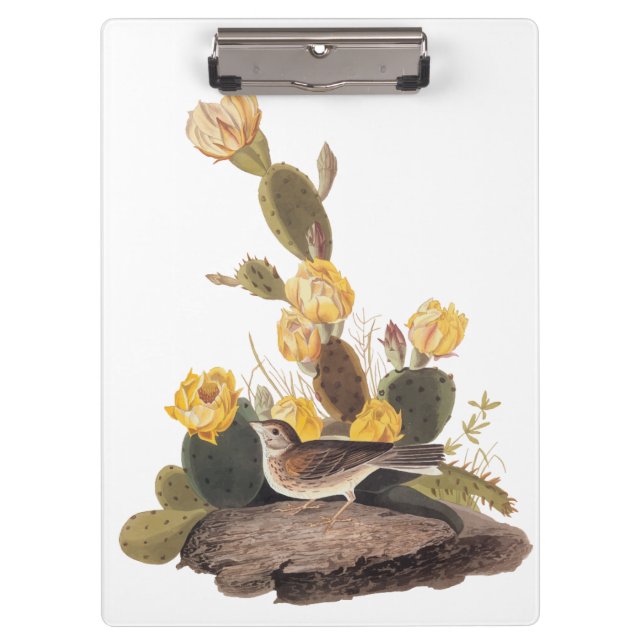 Audubon Vesper Sparrow und Prickly Pear Cactus Klemmbrett (Vorderseite)