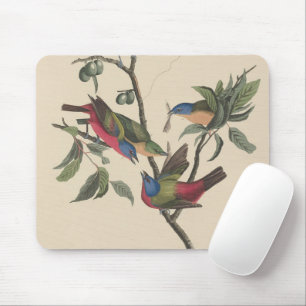 Audubon Vibrant Painted Bunting Wildlife Painting Mousepad