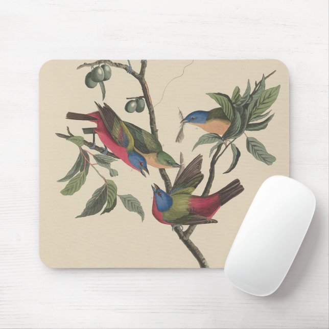 Audubon Vibrant Painted Bunting Wildlife Painting Mousepad (Mit Mouse)