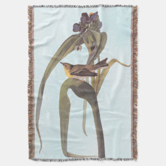 Audubon Vigor's Vireo Songbird Decke