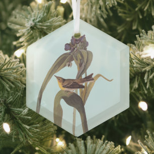 Audubon Vigor's Vireo Songbird Ornament Aus Glas