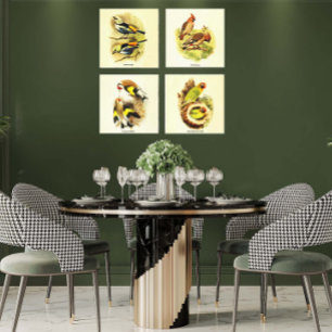 Audubon-Vogel-Galerie-Wandkunst-Set aus 4 Leinwanddruck