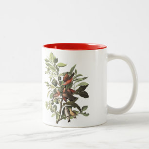 Audubon Vogel-Tasse, Boden tauchte, 15 Unze. Zweifarbige Tasse