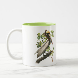 Audubon Vogel-Tasse, Brown-Pelikan, 15 Unze. Zweifarbige Tasse