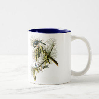 Audubon Vogel-Tasse, büscheliger Titmouse, 15 Unze Zweifarbige Tasse