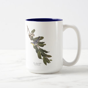 Audubon Vogel-Tasse, Gelb-Throated Trällerer, 15 Zweifarbige Tasse