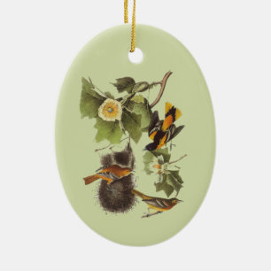 Audubon Vögel Troupial Vintage Kunst  Keramik Ornament